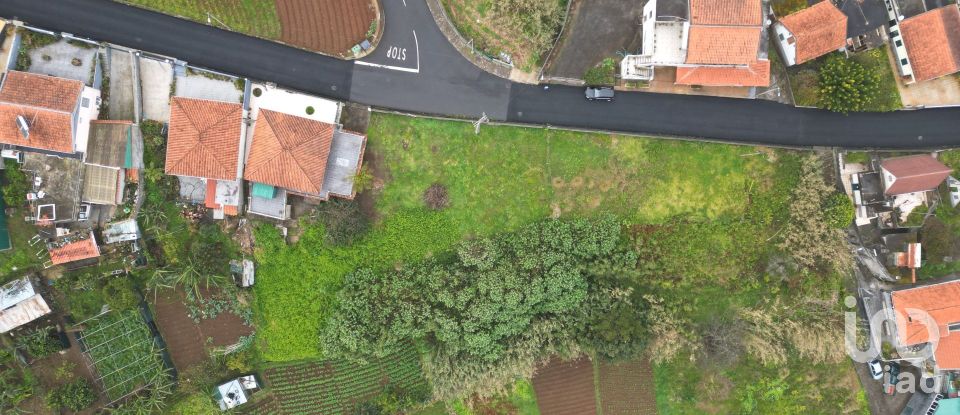 House T2 in Santana of 2,890 m²