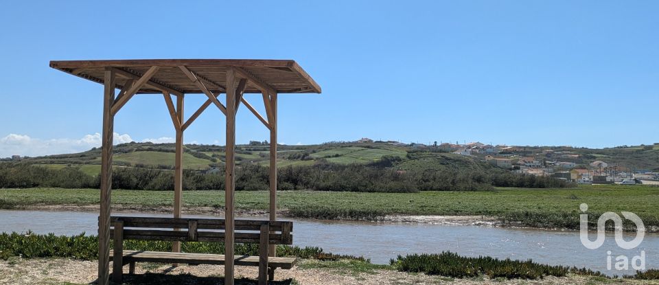 Terreno urbano em São Pedro da Cadeira de 557 m²