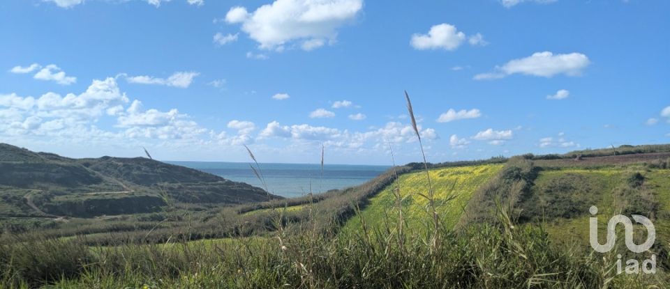Terreno urbano em São Pedro da Cadeira de 557 m²