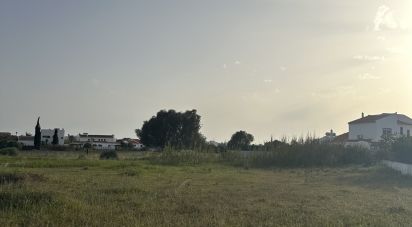 Terrain agricole à Guia de 2 960 m²