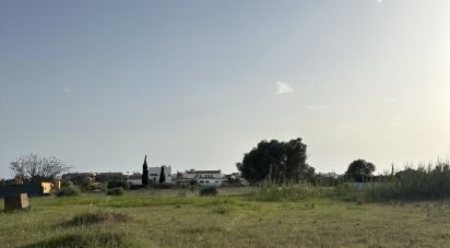 Terrain agricole à Guia de 2 960 m²