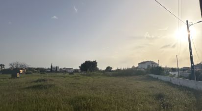 Terrain agricole à Guia de 2 960 m²