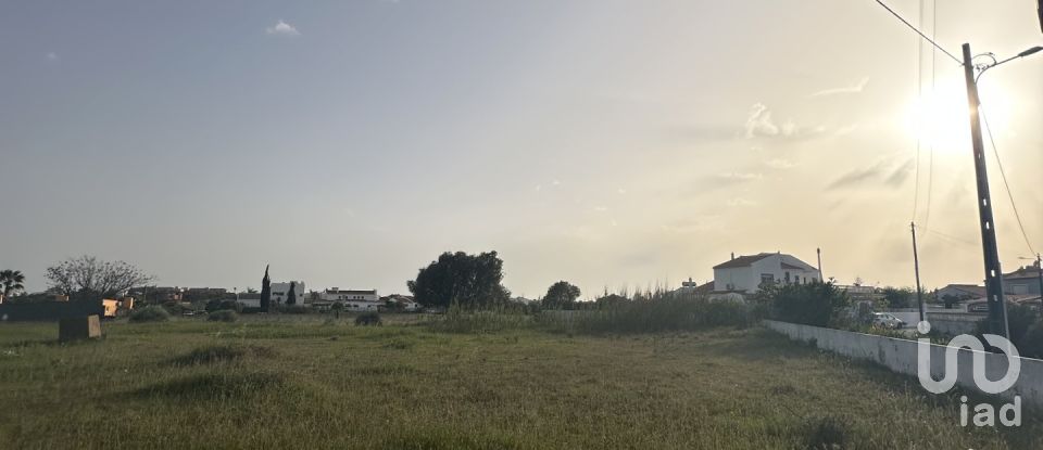 Terrain agricole à Guia de 2 960 m²