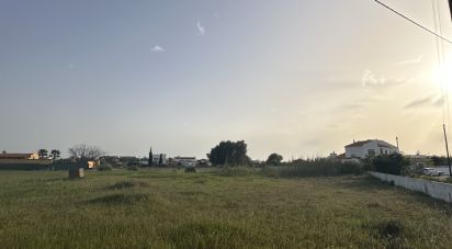 Terrain agricole à Guia de 2 960 m²