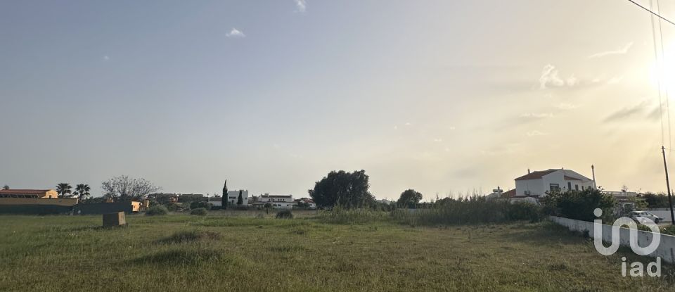 Terrain agricole à Guia de 2 960 m²