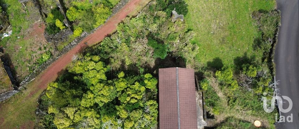 Moradia T2 em Santa Luzia de 90 m²