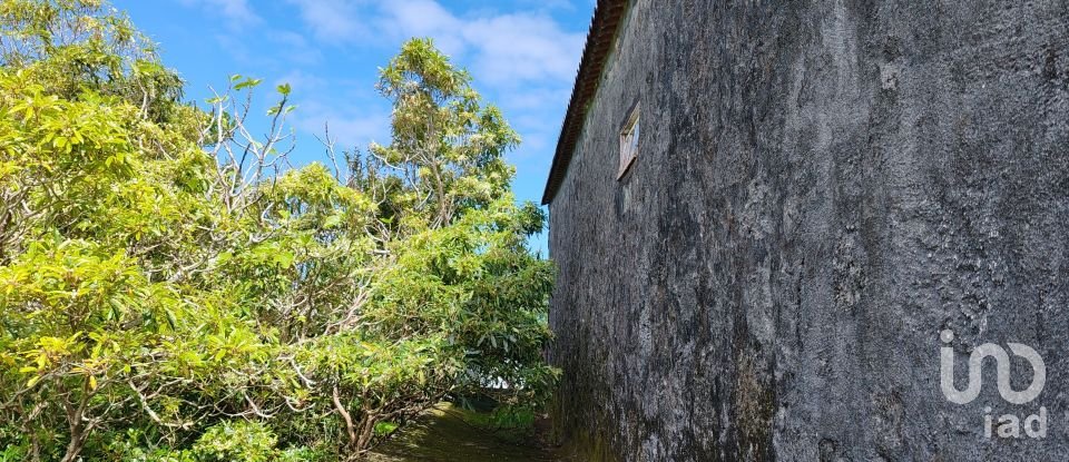 Moradia T2 em Santa Luzia de 90 m²