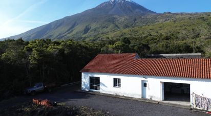 Maison T3 à São Caetano de 220 m²