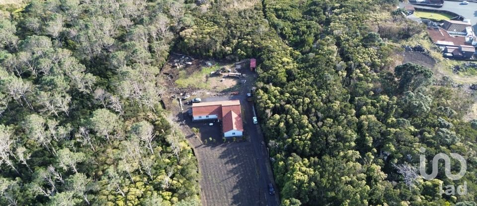 Maison T3 à São Caetano de 220 m²