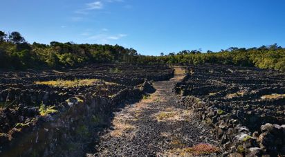 Terreno em Madalena de 20 010 m²