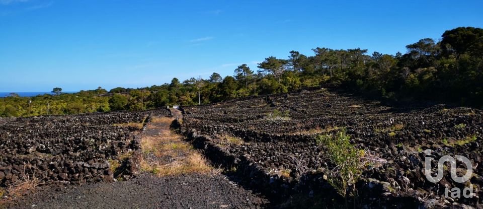 Land in Madalena of 20,010 m²