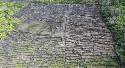 Terreno em Madalena de 20 010 m²