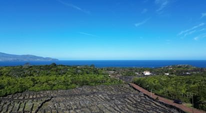 Terreno em Madalena de 20 010 m²