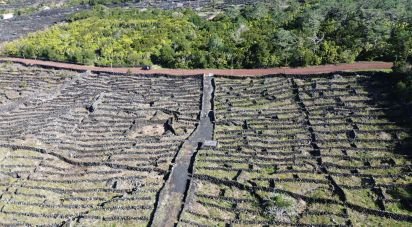 Terreno em Madalena de 20 010 m²