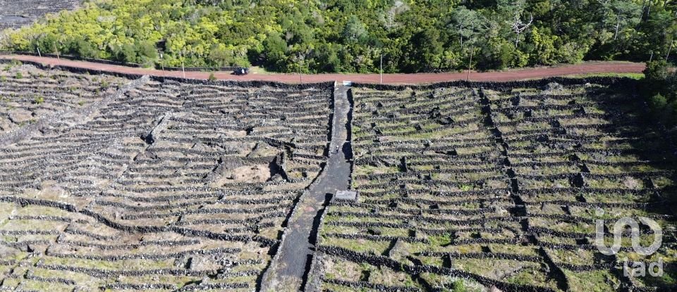 Land in Madalena of 20,010 m²