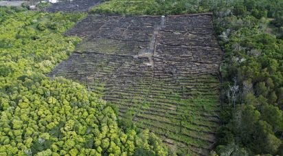 Terreno em Madalena de 20 010 m²