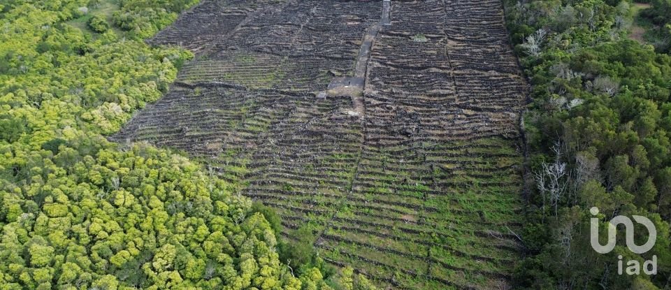 Land in Madalena of 20,010 m²