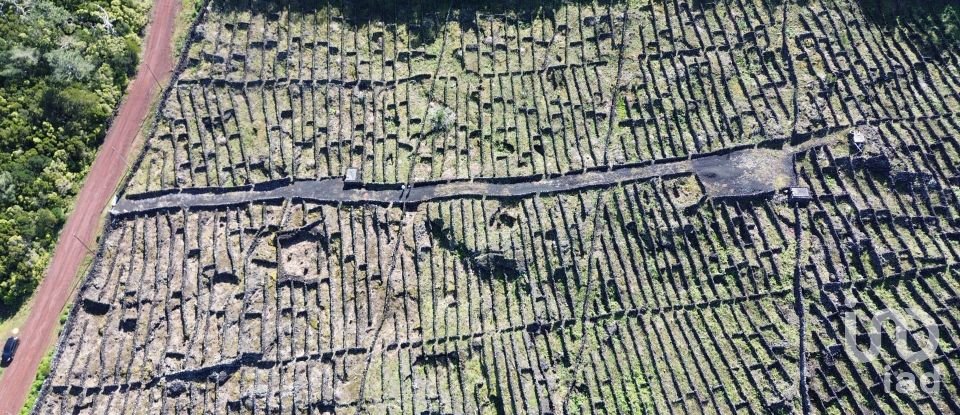 Land in Madalena of 20,010 m²