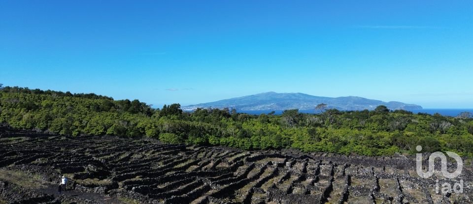 Land in Madalena of 20,010 m²