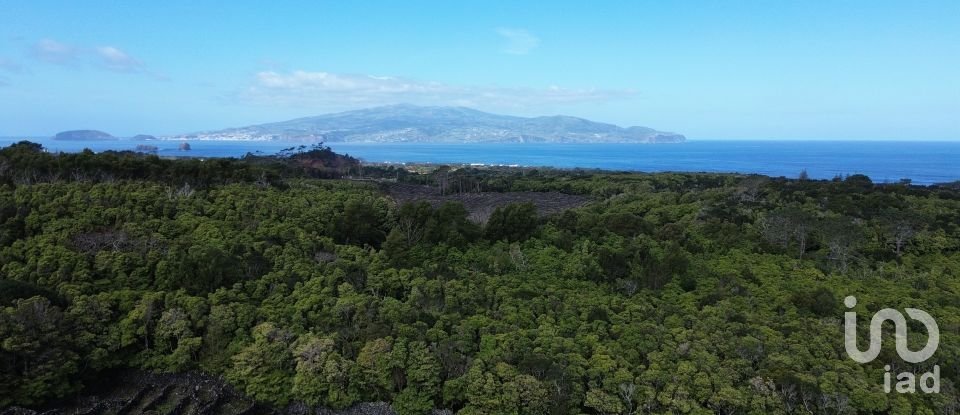 Land in Madalena of 20,010 m²