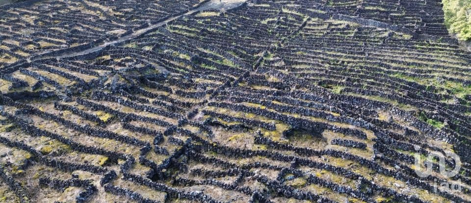 Land in Madalena of 20,010 m²