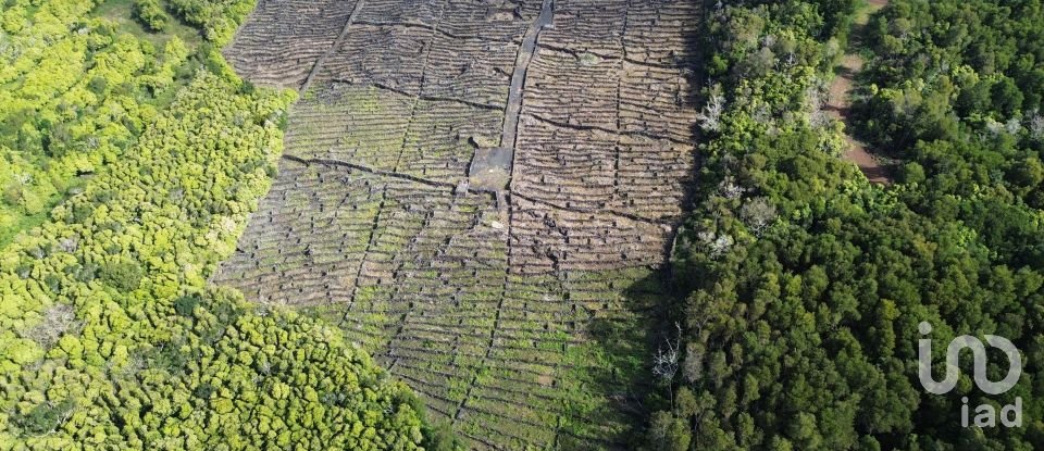 Land in Madalena of 20,010 m²