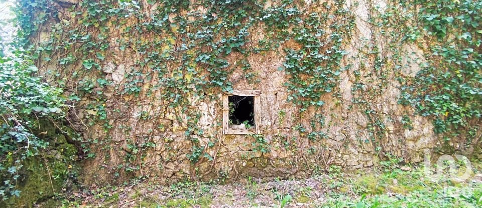 Maison T4 à Covas de 360 m²