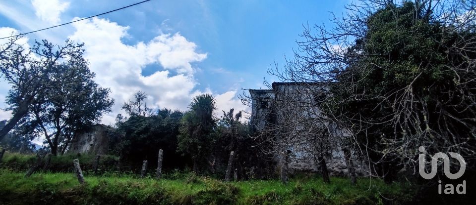 Maison T4 à Covas de 360 m²