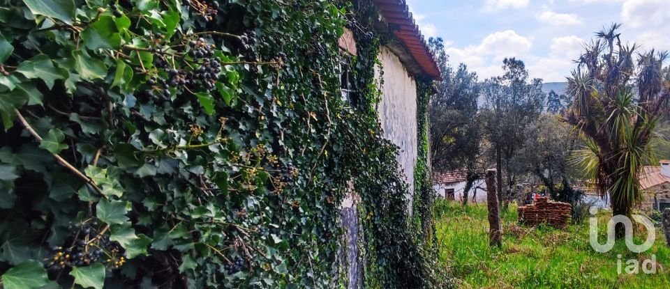 Maison T4 à Covas de 360 m²