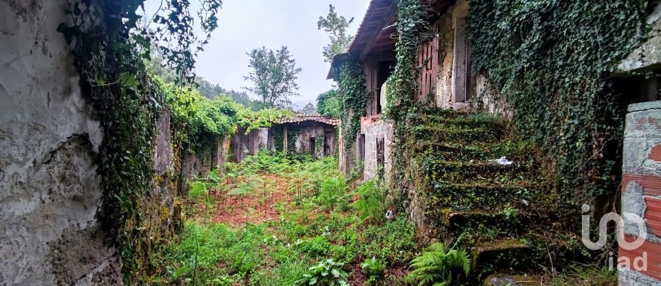 Maison T4 à Covas de 360 m²