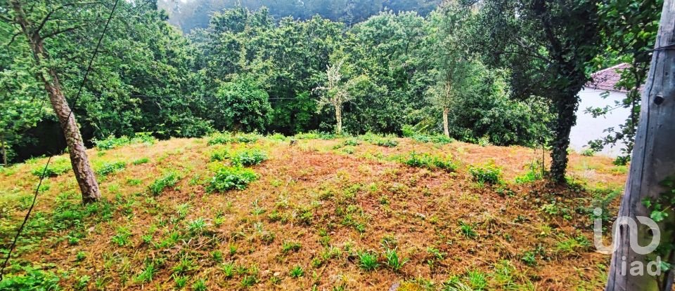 Maison T4 à Covas de 360 m²