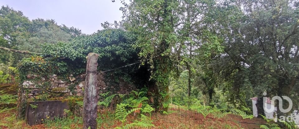 Maison T4 à Covas de 360 m²