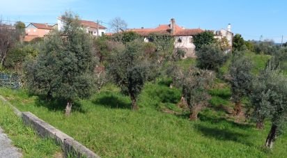 Land in Graça of 3,250 m²