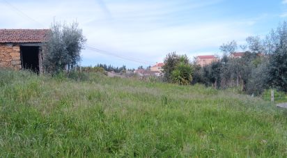 Land in Graça of 3,250 m²