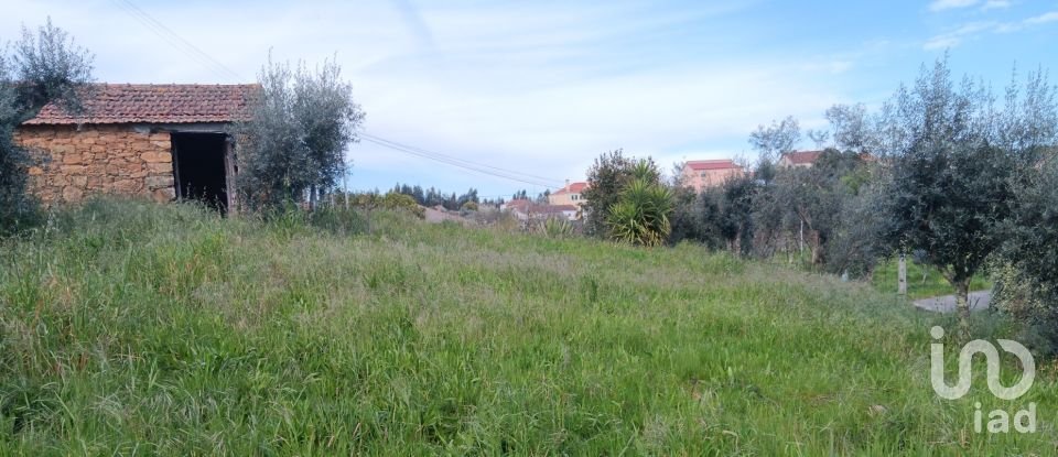 Terrain à Graça de 3 250 m²