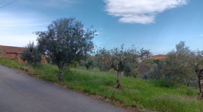 Land in Graça of 3,250 m²