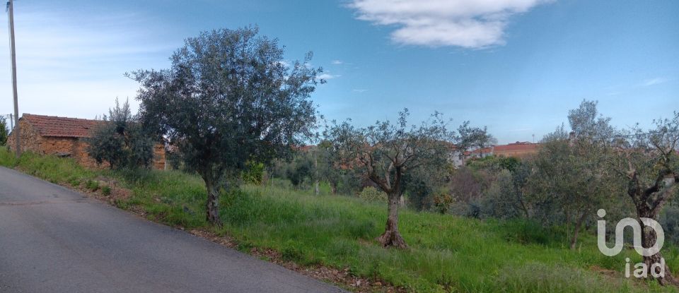 Terrain à Graça de 3 250 m²