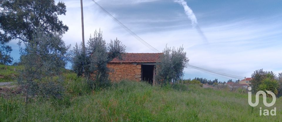 Terrain à Graça de 3 250 m²