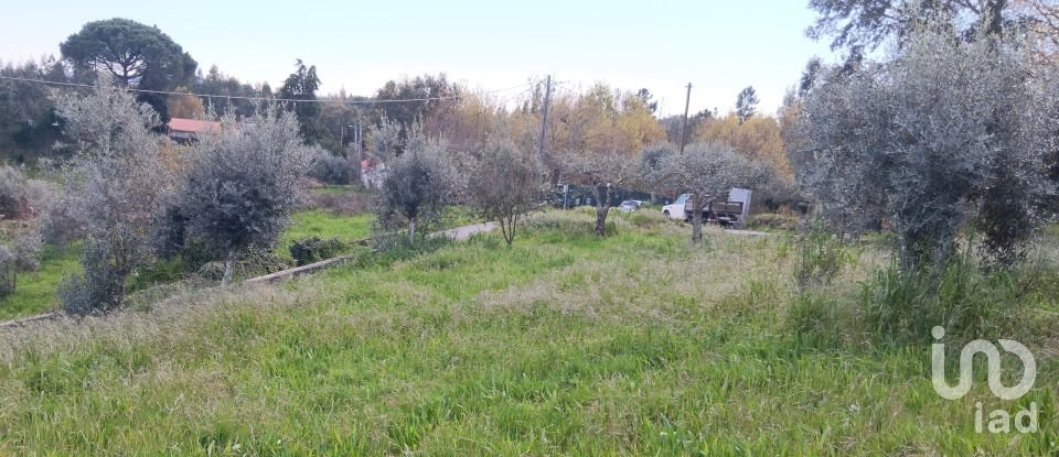 Terrain à Graça de 3 250 m²