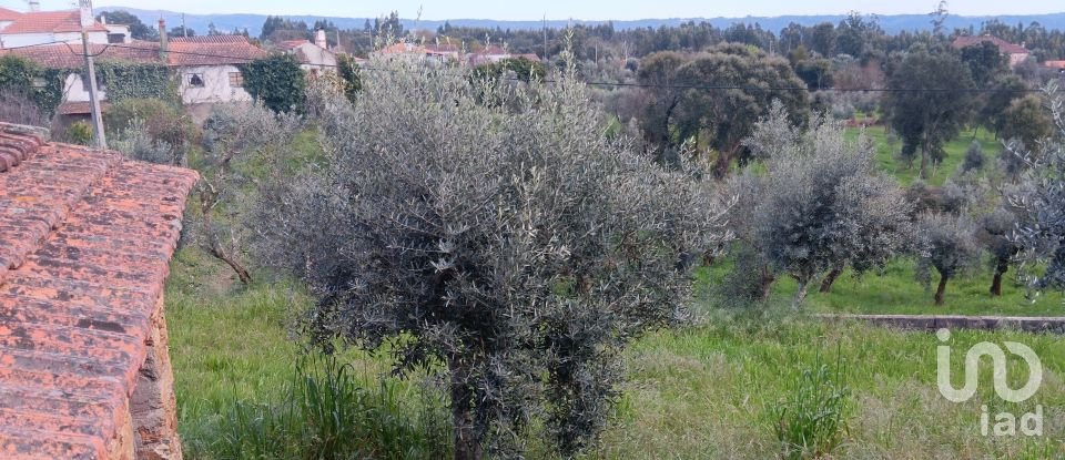 Terrain à Graça de 3 250 m²