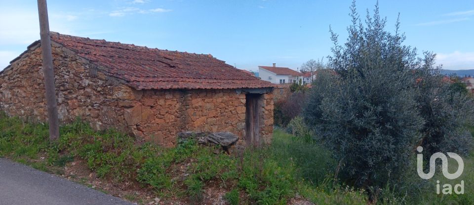 Terrain à Graça de 3 250 m²