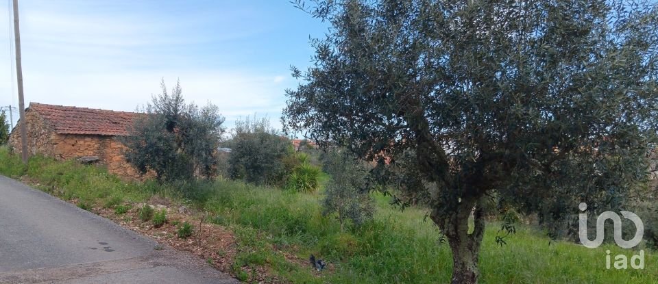 Terrain à Graça de 3 250 m²