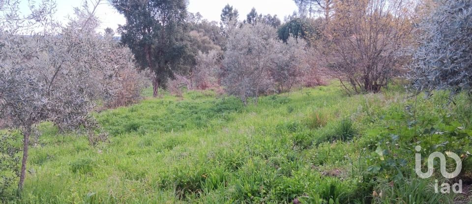 Terrain à Graça de 3 250 m²