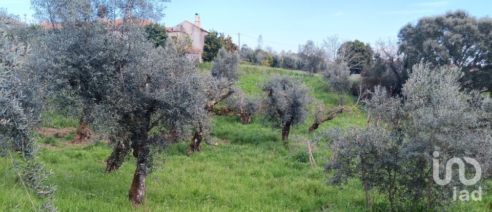 Terrain à Graça de 3 250 m²