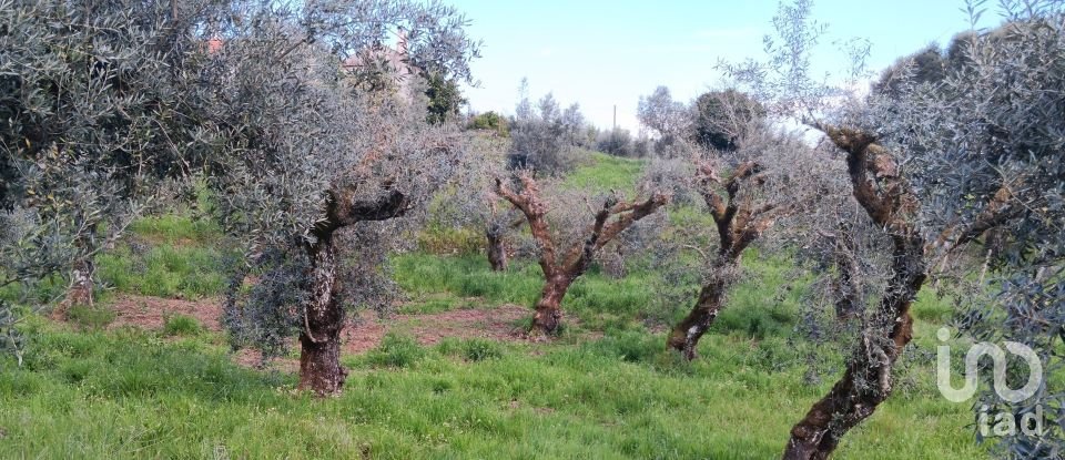 Terrain à Graça de 3 250 m²