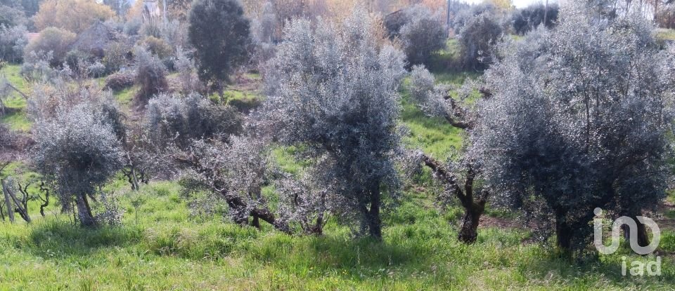 Terrain à Graça de 3 250 m²