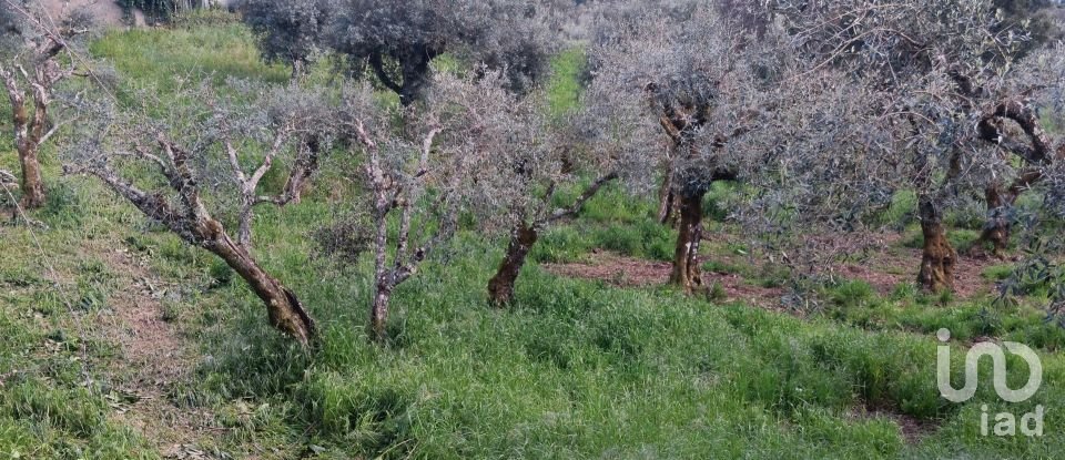Terrain à Graça de 3 250 m²