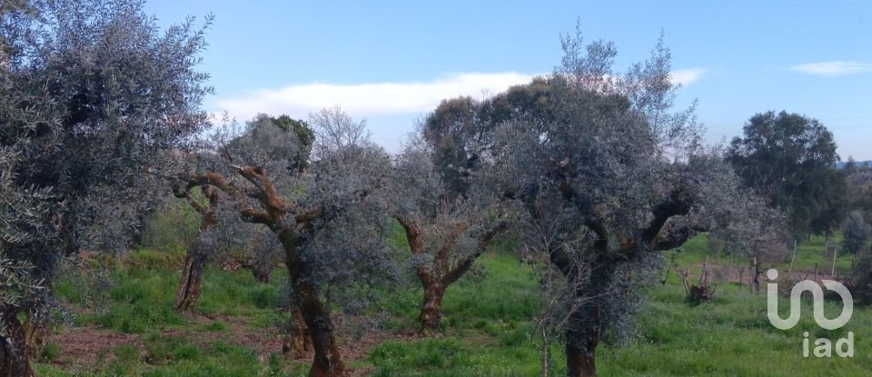 Terrain à Graça de 3 250 m²