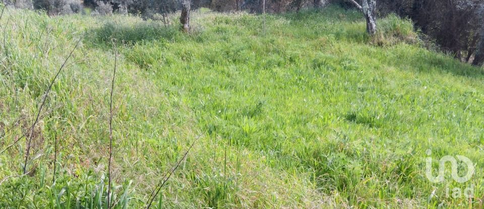 Terrain à Graça de 3 250 m²