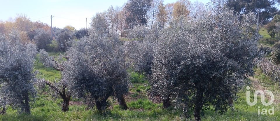 Terrain à Graça de 3 250 m²